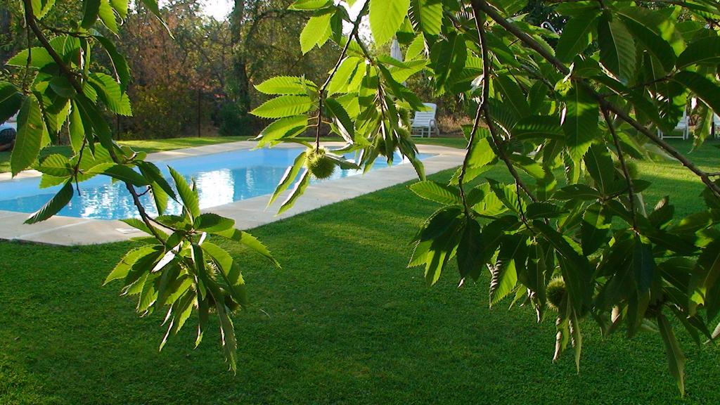 Hotel Apartamento Rural Finca La Media Legua Aracena Esterno foto